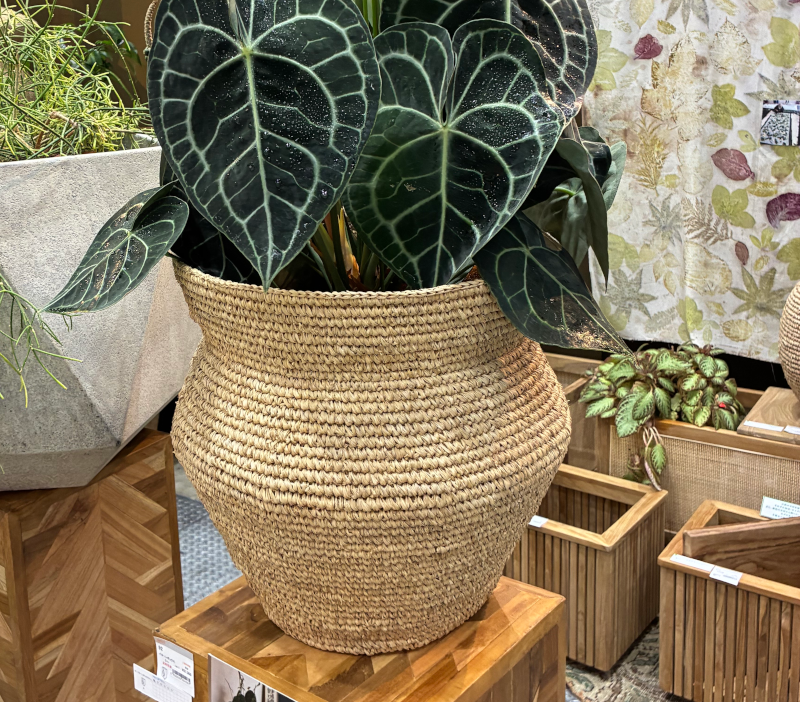 raffia