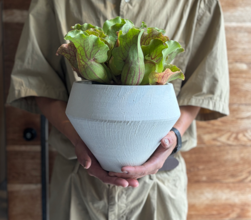 ceramic