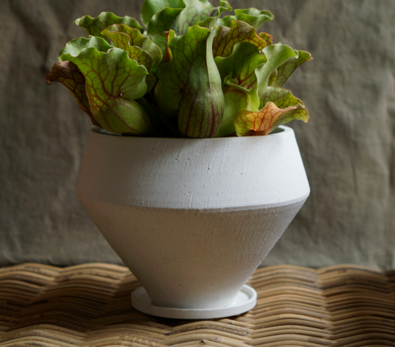 ceramic
